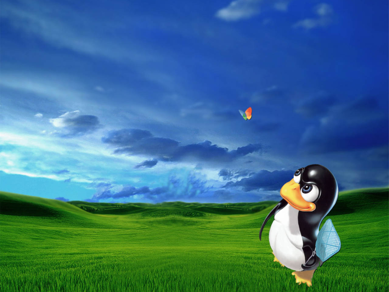 Fly Swatter Tux Linux - HD Wallpaper 