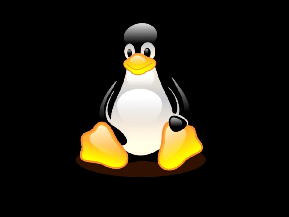 Linux Penguin Wallpaper Wallpapersafari - Linux Penguin Black Background - HD Wallpaper 