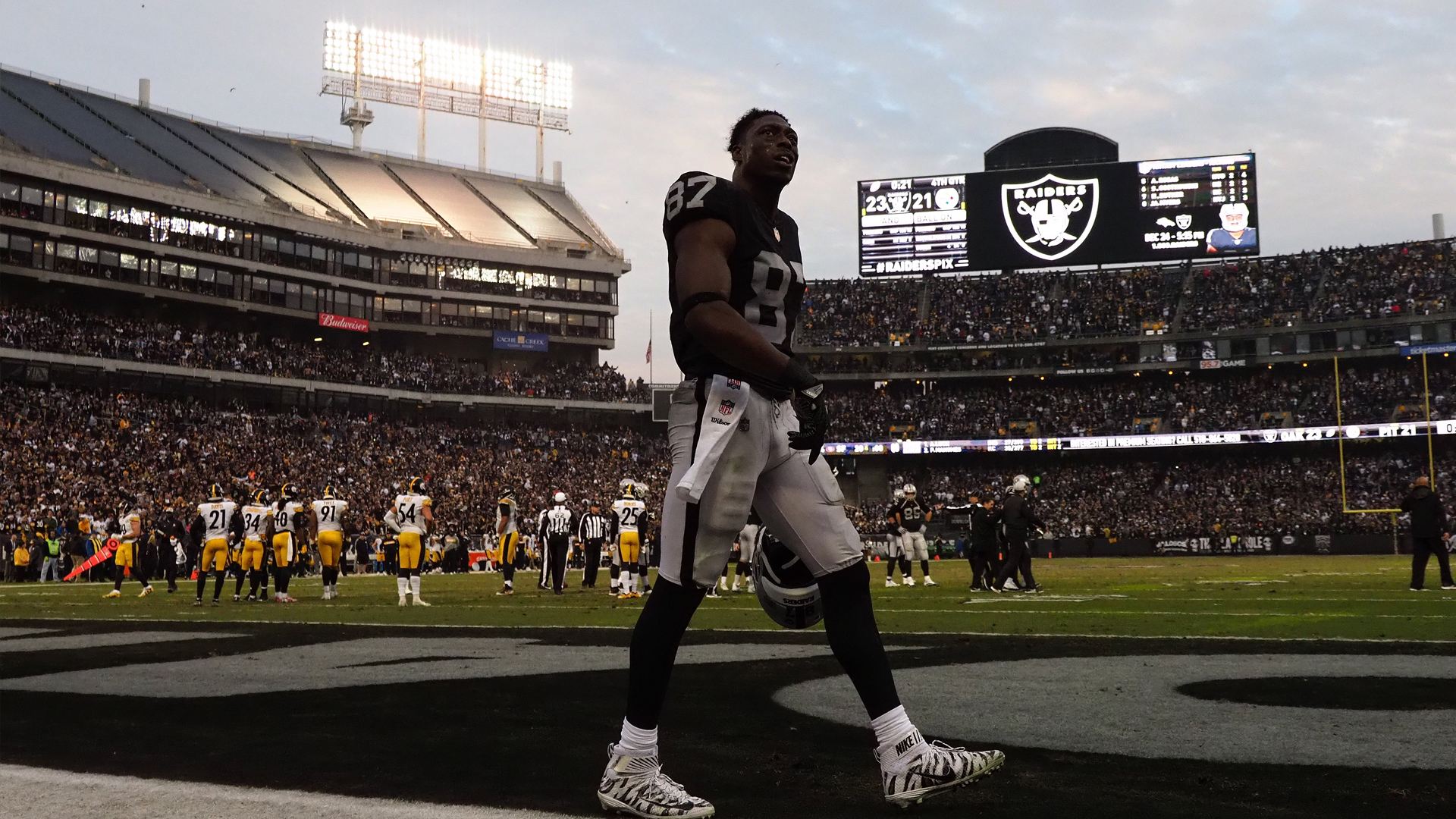 Jaredcookusatsi - Oakland Raiders - HD Wallpaper 
