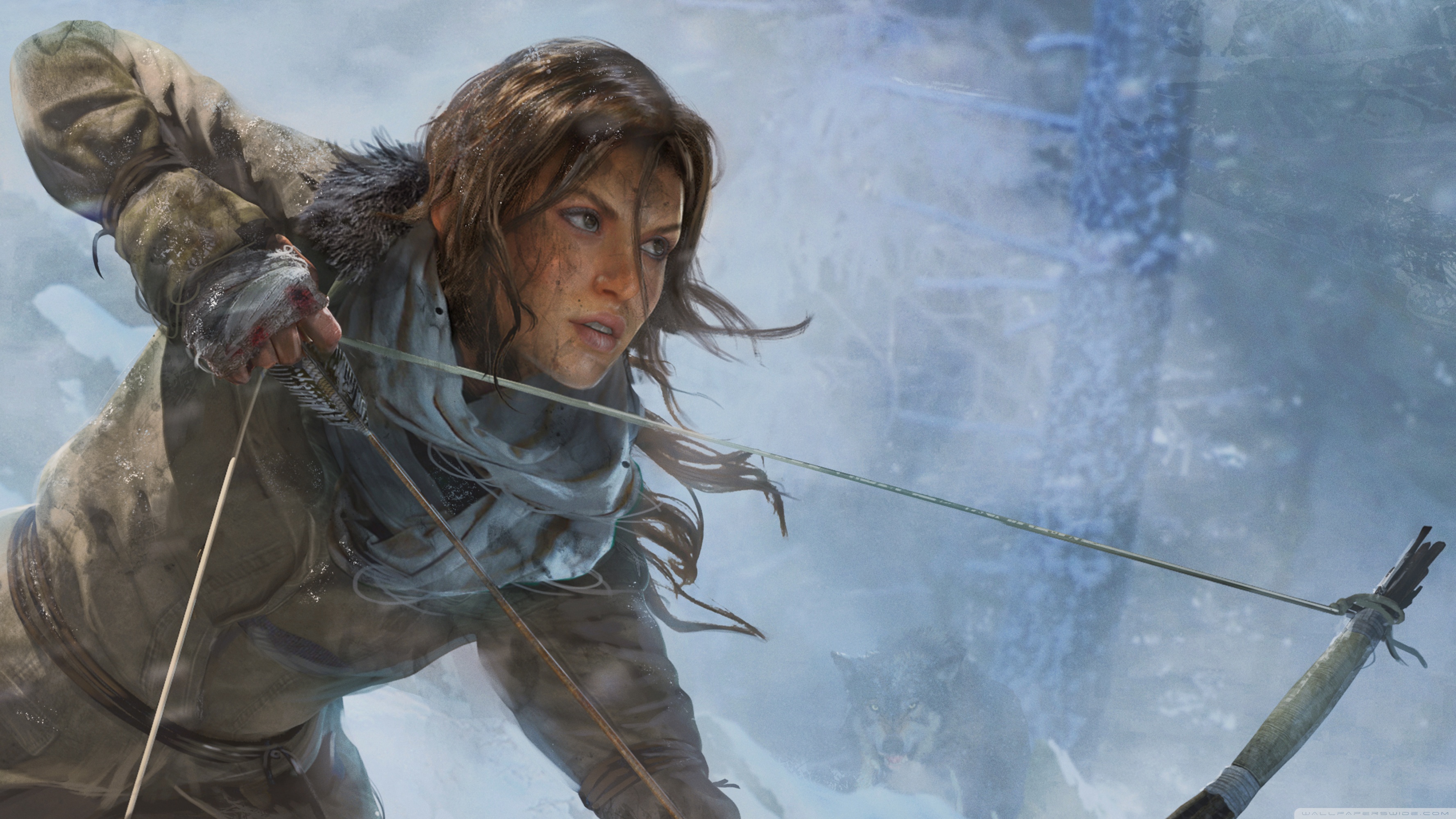 Lara Croft Game Rise Of The Tomb Raider - HD Wallpaper 