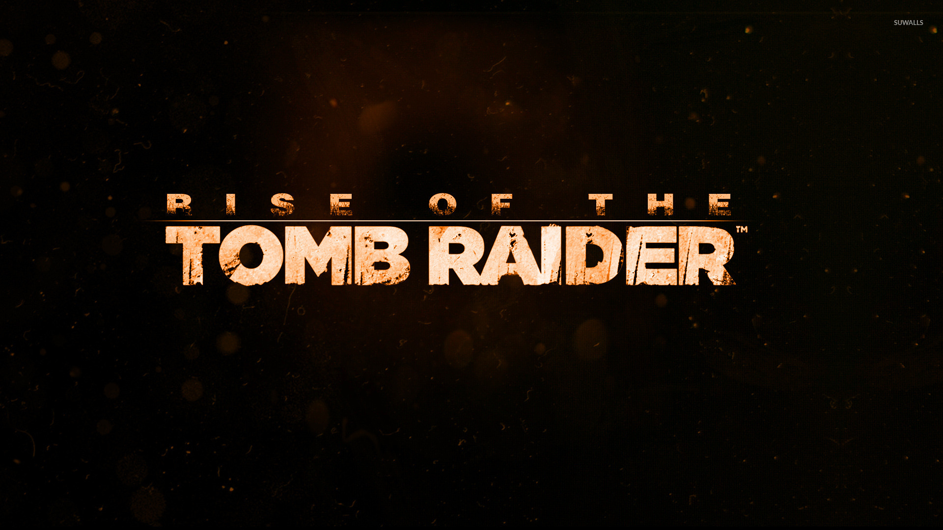 Tomb Raider 2011 - HD Wallpaper 