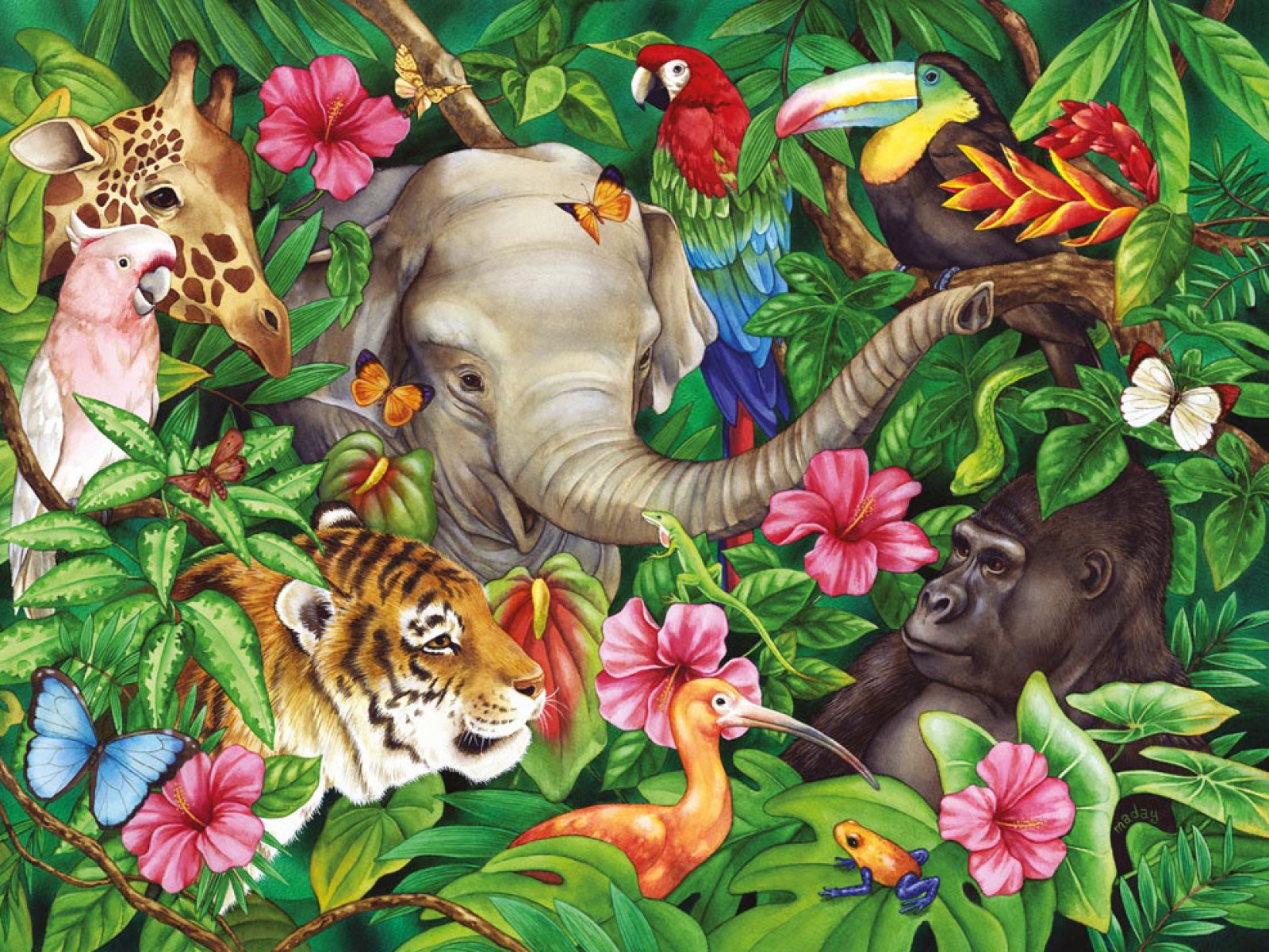 Jungle Animals - HD Wallpaper 