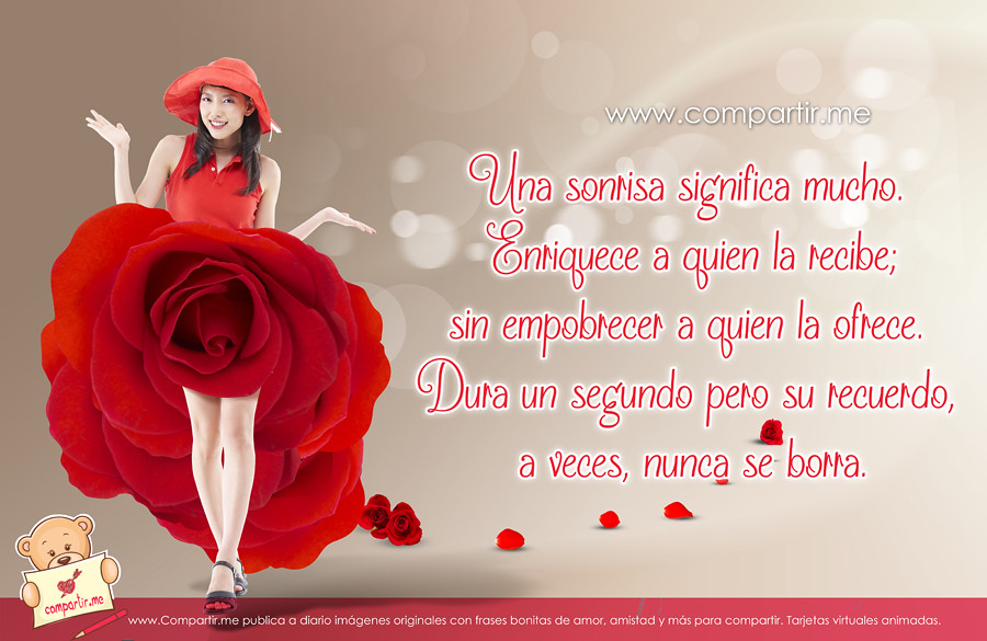 Garden Roses - HD Wallpaper 