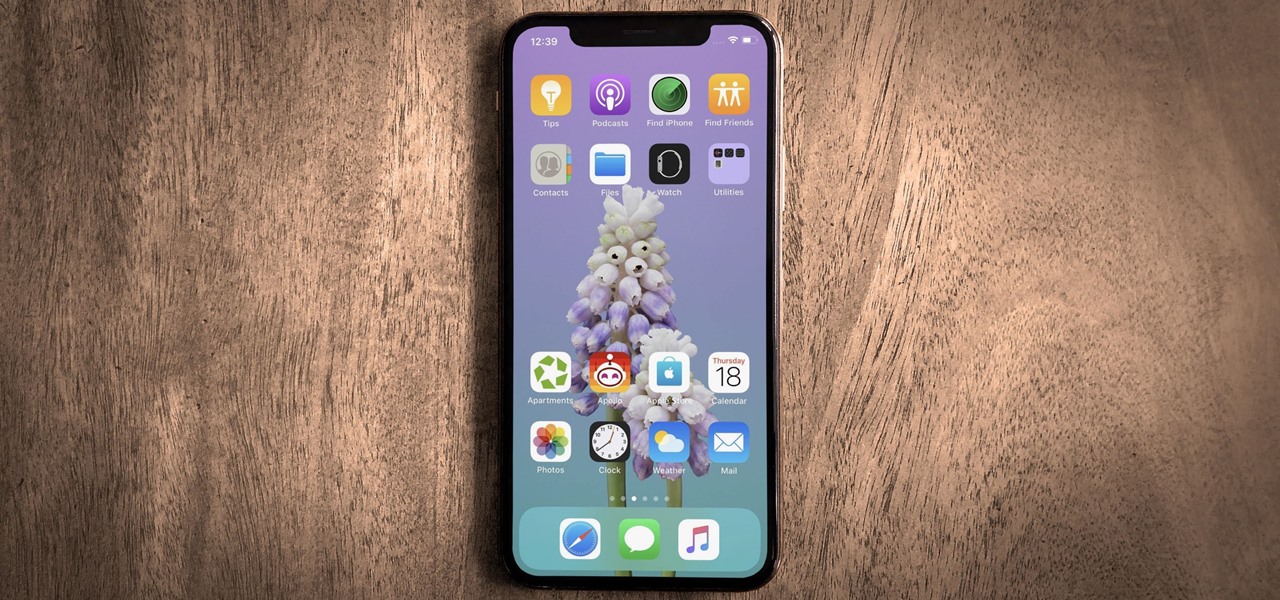 Download Iphone Xr Home Screen Layout Teahub.io
