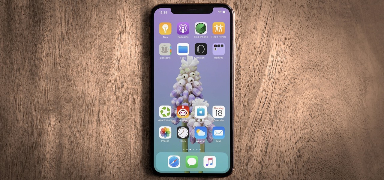 Iphone Xr Home Screen Layout - HD Wallpaper 