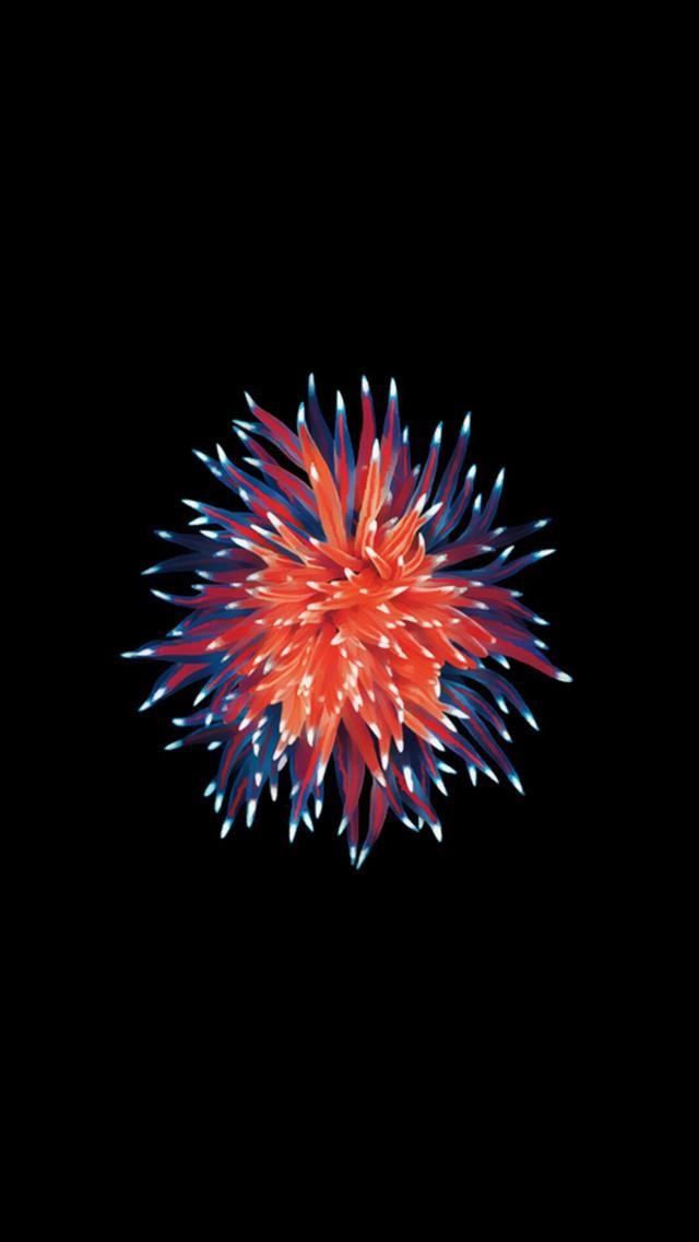 Fondos Iphone Se Hd - HD Wallpaper 