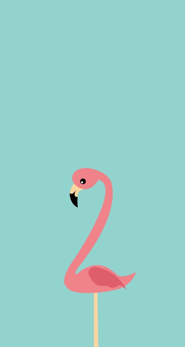 Flamingo Pink - HD Wallpaper 