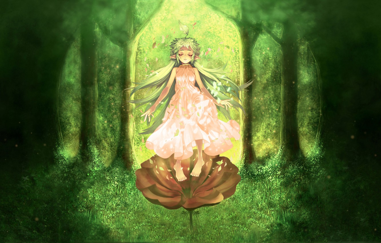 Photo Wallpaper Forest, Flower, Grass, Elf, Art, Girl, - Ragnarok Online Lif - HD Wallpaper 