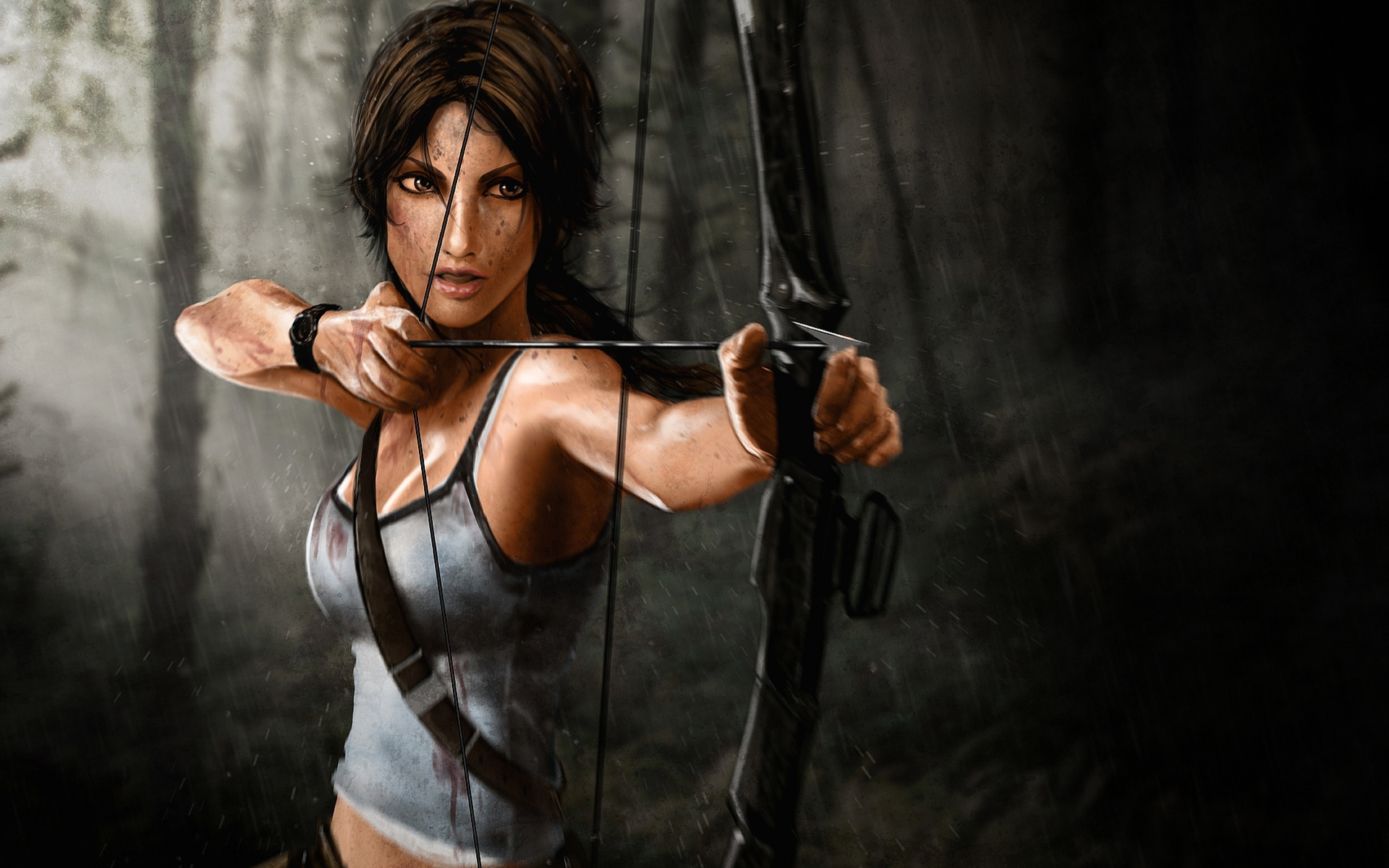 Tomb Raider 2013 Wallpaper - HD Wallpaper 