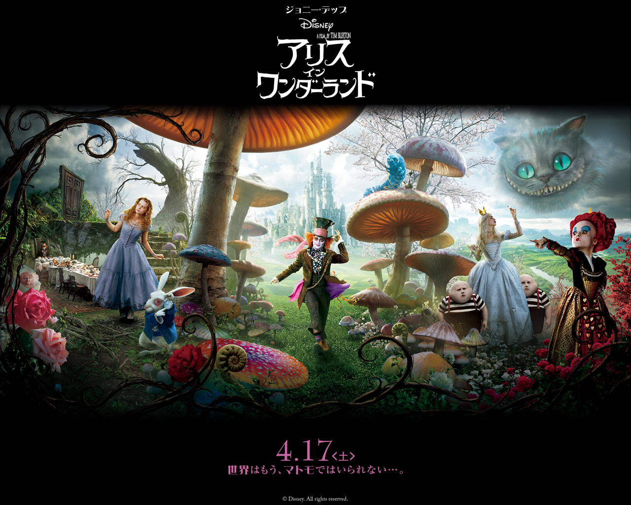 Alice In Wonderland Tim Burton - HD Wallpaper 