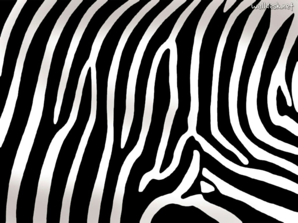 Animal Print Fondos De Pantalla Zebra Papeis Escritorio - Zebra Print Clipart - HD Wallpaper 