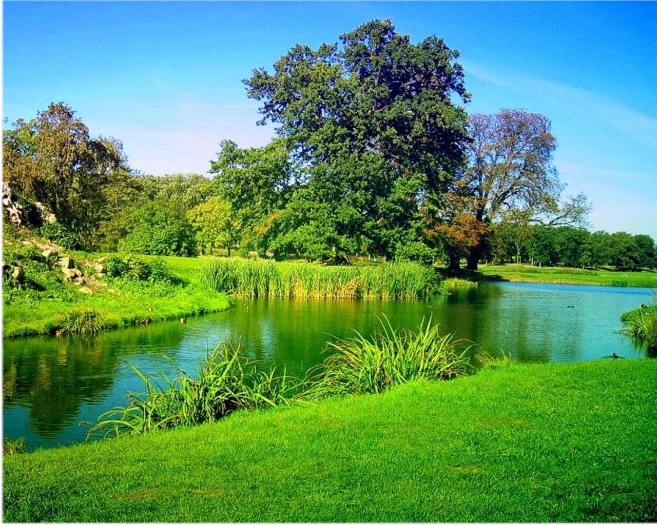 Nature Images Hd Large Size - 1280x1024 Wallpaper Nature Images Hd Large Size - 1280x1024 Wallpaper