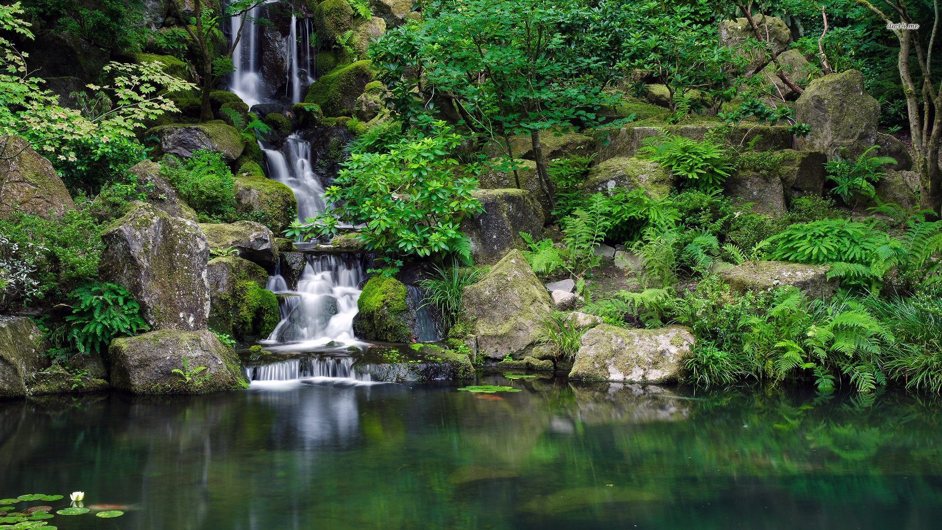 Jungle Waterfall Background - HD Wallpaper 