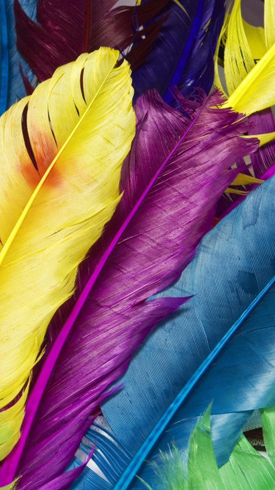 Colorful Feather 1080x1920 Wallpaper Teahub Io