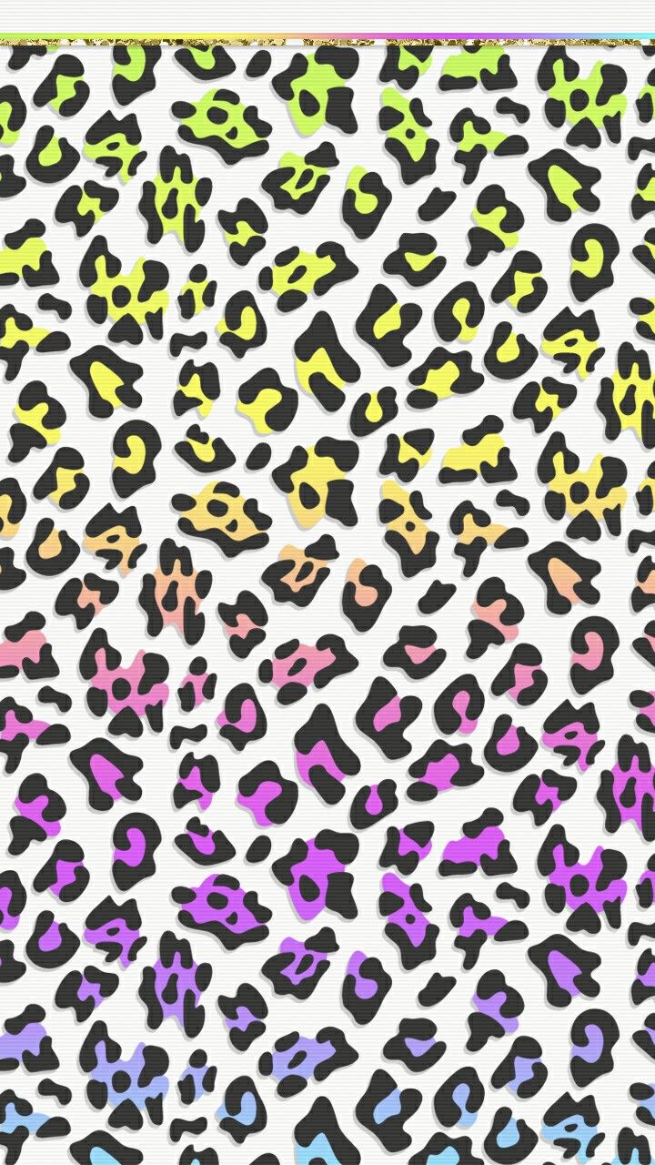 Wallpaper - HD Wallpaper 