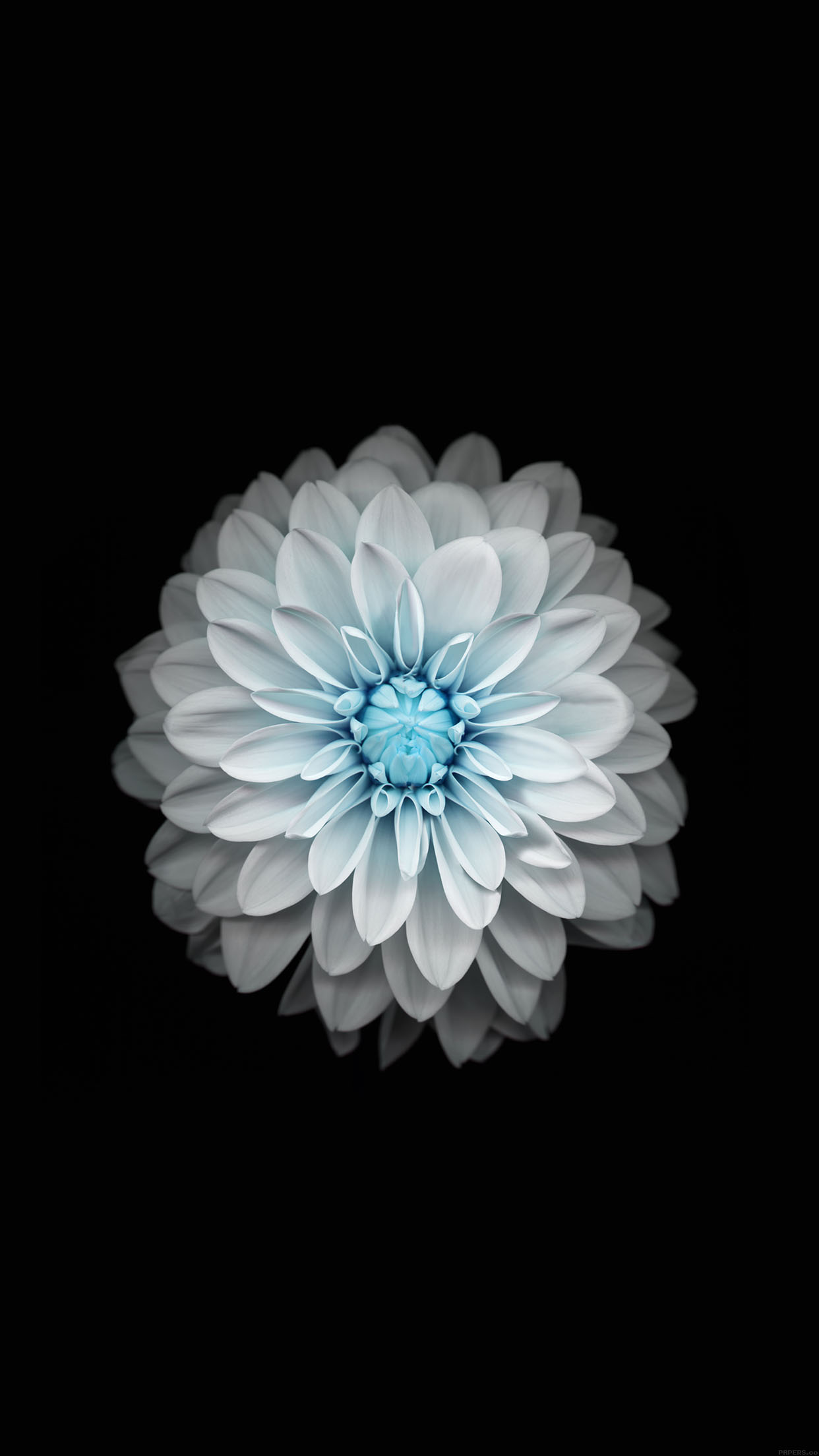 ايفون 5 خلفيات ايفون - HD Wallpaper 