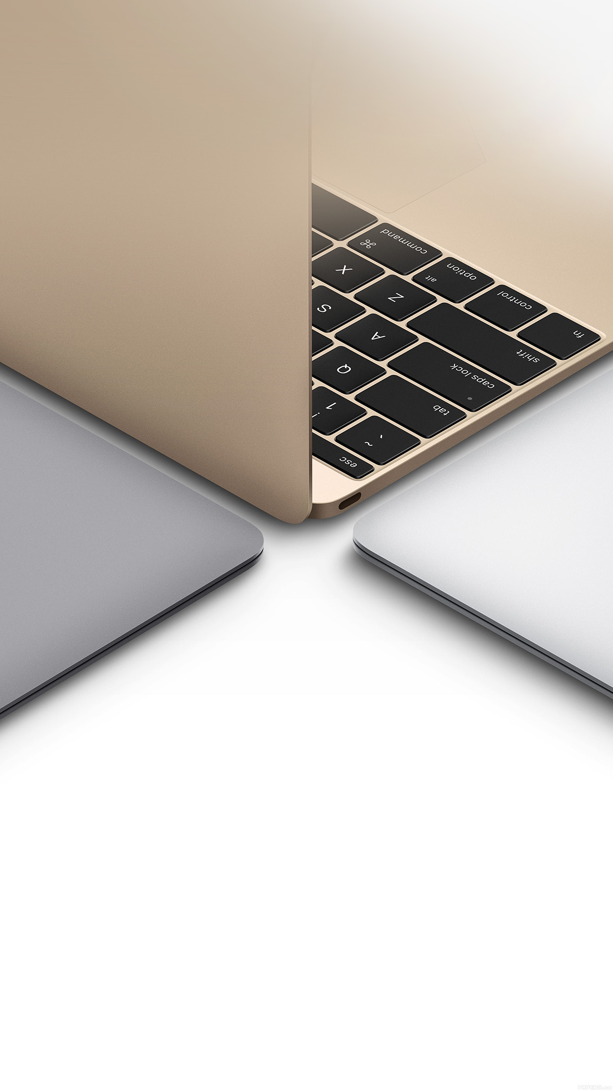 Rose Gold Vs Gold Macbook 1242x2208 Wallpaper teahub.io