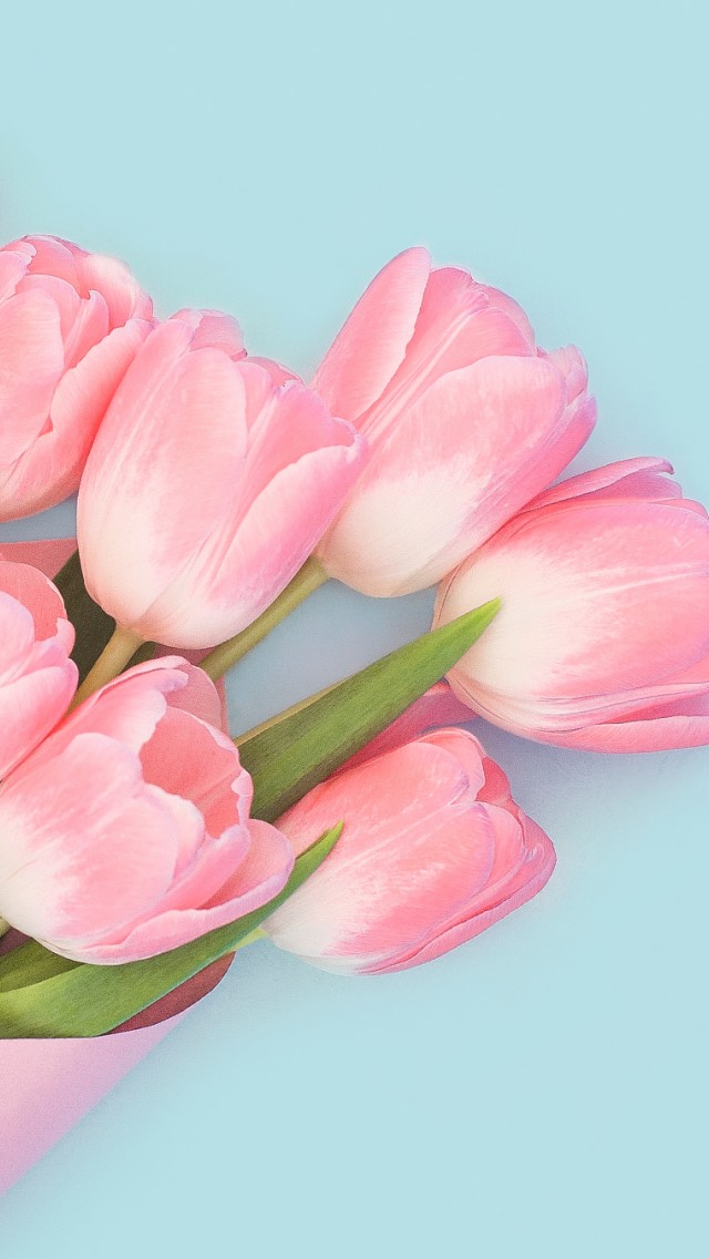 Facebook Cover Photo Flower - HD Wallpaper 