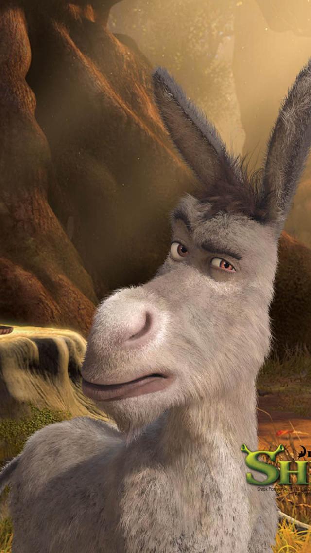 We There Yet Donkey Meme - HD Wallpaper 