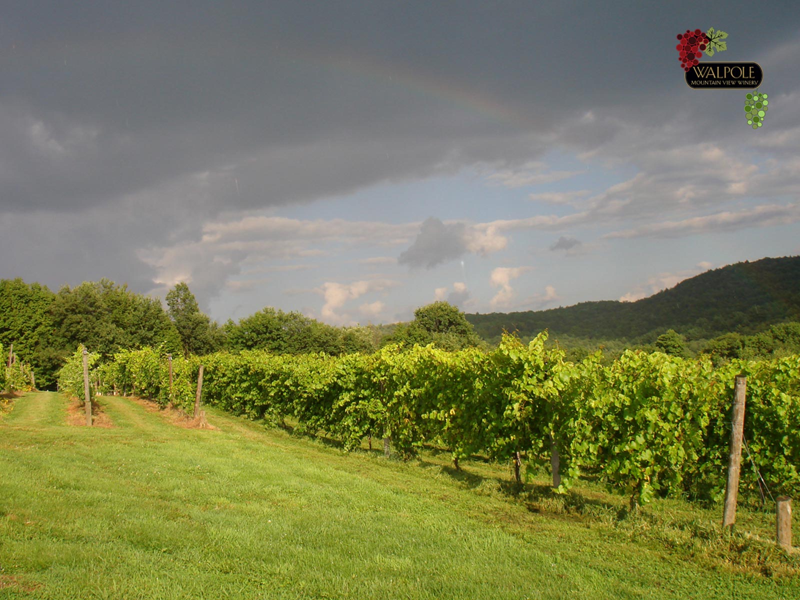 1600 X 1200 Px - HD Wallpaper 