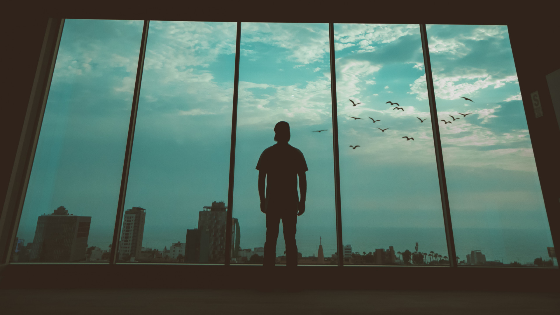 Man Silhouette Window Birds - HD Wallpaper 