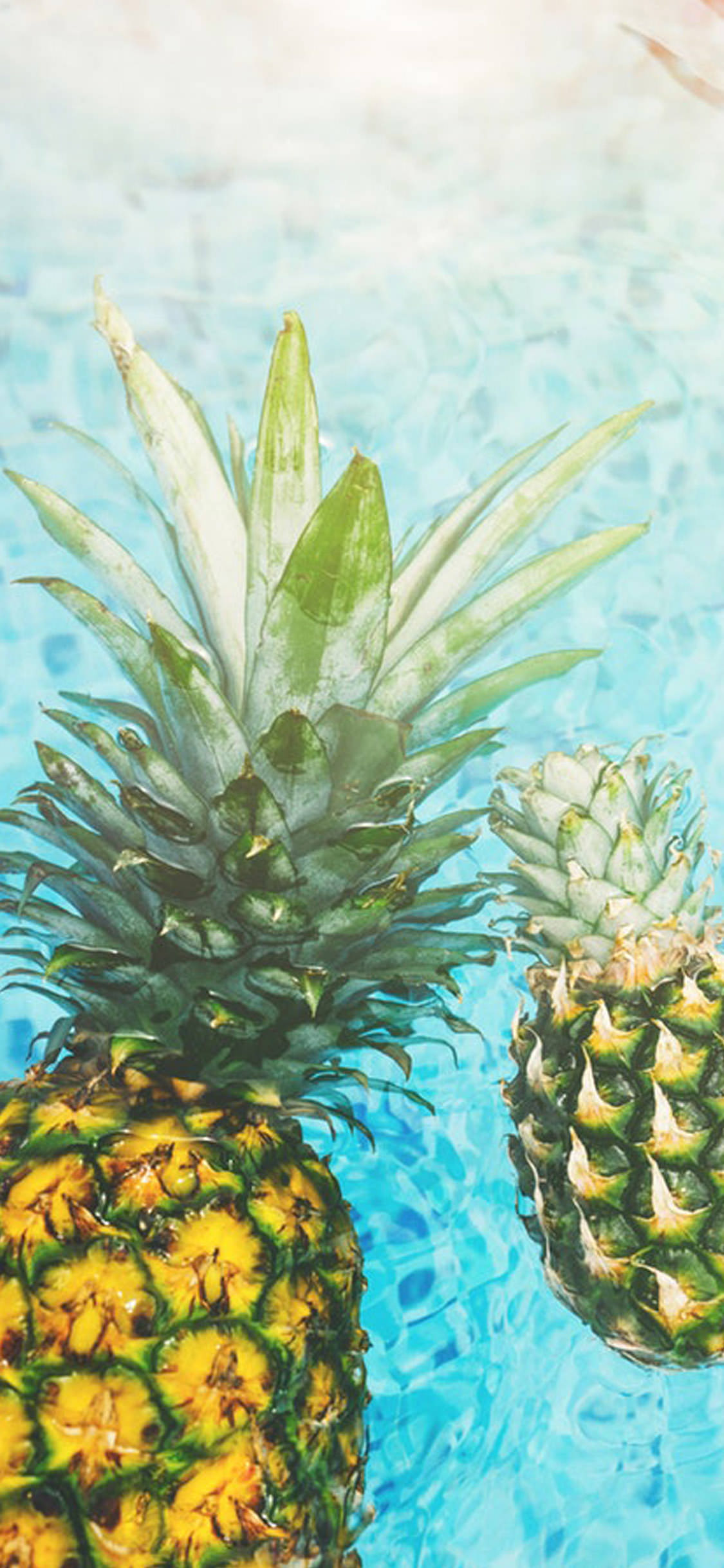 Iphone X Pineapple - HD Wallpaper 